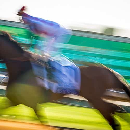 James Shambu Horses In Motion III on chromaluxe alum 12x19 WEB